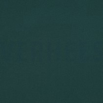 BI STRETCH DENNEGROEN (thumbnail)