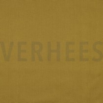 CANVAS CURRY (thumbnail)