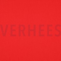 CANVAS TOMAATROOD (thumbnail)