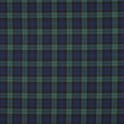 TARTAN CHECK GREEN (thumbnail)