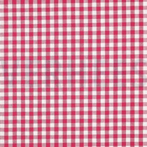 KAROS BEERE (thumbnail)