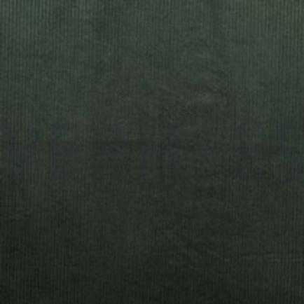 CORDUROY GEWASSEN 6W STRETCH DONKERGROEN (thumbnail)