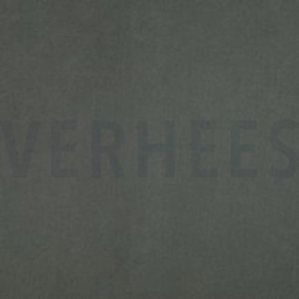 VISCOSE SANDWASH TENCEL™ LYOCELL LEGERGROEN (thumbnail)