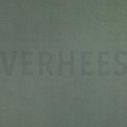 VISCOSE SANDWASH TENCEL™ LYOCELL SALIEGROEN (thumbnail)