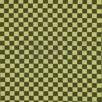 DOUBLE GAUZE DUBBELZIJDIGE RUITEN GROEN (thumbnail)