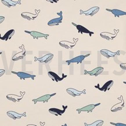 JERSEY BALEINES BLANC CASSÉ (thumbnail)