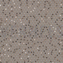 HAAKWERK PAILLETTEN BRONS (thumbnail)