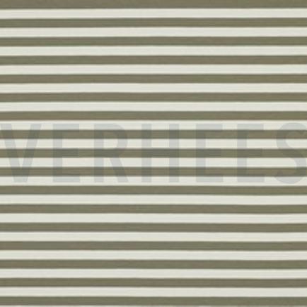 FRENCH TERRY YARN DYED STRIPES MOSS GREEN (thumbnail)