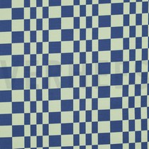 JERSEY COOLE VIBES SALBEI (thumbnail)