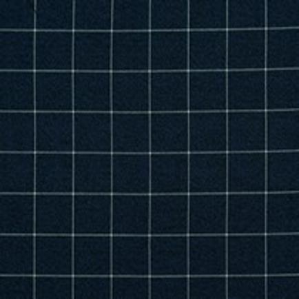 CHECKS INDIGO (thumbnail)