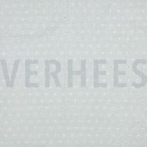 DOTTY WEISS (thumbnail)