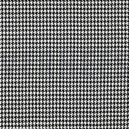 PIED-DE-POULE BLANC (thumbnail)