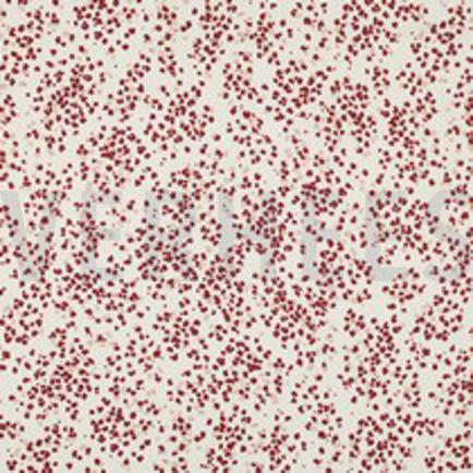 VISCOSE ROSELLA STRETCH STIPPEN GEBROKEN WIT (thumbnail)