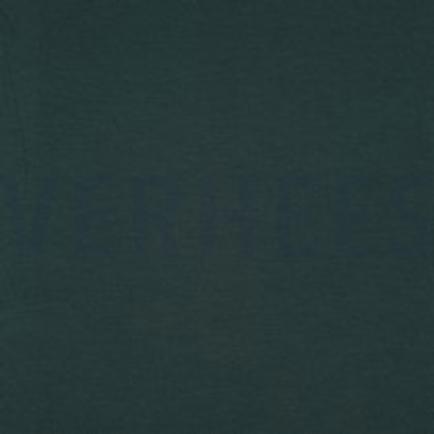 JERSEY TENCEL™ MODAL GRÜN (thumbnail)