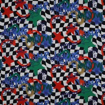 SOFTSHELL DIGITAL GRAPHIC ROT (thumbnail)