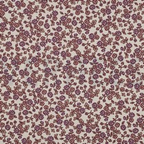 FLANNEL FLOWERS ECRU (thumbnail)