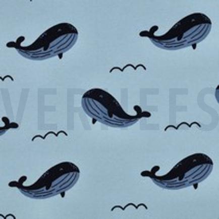 JOGGING WHALE BLAU (thumbnail)