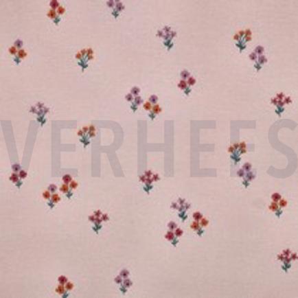 FLANNEL FLOWERS LIGHT PINK (thumbnail)