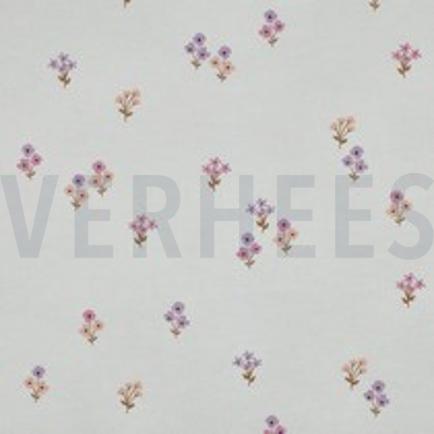 FLANNEL FLOWERS WHITE (thumbnail)
