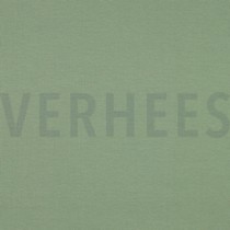 JERSEY GOTS MINTGROEN (thumbnail)