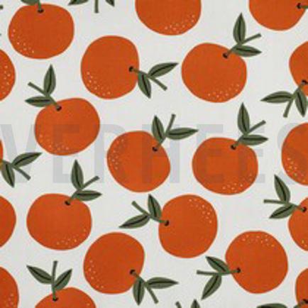 CANVAS FRUIT WIT (thumbnail)