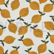 TOILE DÉCORATION FRUIT BLANC (thumbnail)