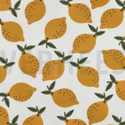 CANVAS FRUIT WIT (thumbnail)