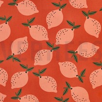 TOILE DÉCORATION FRUIT ORANGE (thumbnail)