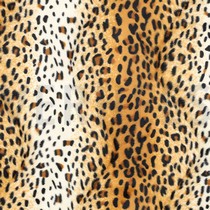 VELBOA LYNX ECRU/GOLD/BROWN (thumbnail)