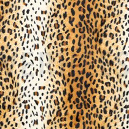 VELBOA LYNX ECRU/GOLD/BROWN (thumbnail)