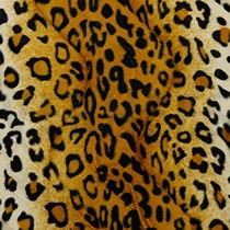 VELBOA LEOPARD BEIGE/GOLD (thumbnail)