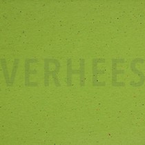 COSY COLOURS SWEAT OLIVE (thumbnail)