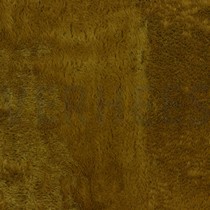 IMITATIEBONT CURRY (thumbnail)