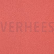 JOGGING CORAL (thumbnail)