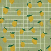 COTON ENDUIT FRUIT VERT (thumbnail)