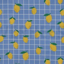 COTON ENDUIT FRUIT BLEU (thumbnail)