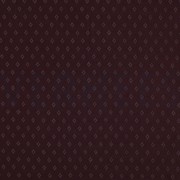 POINTOILLE AJOUR PAARS (thumbnail)