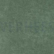 FROTTEE BASILIKUM (thumbnail)