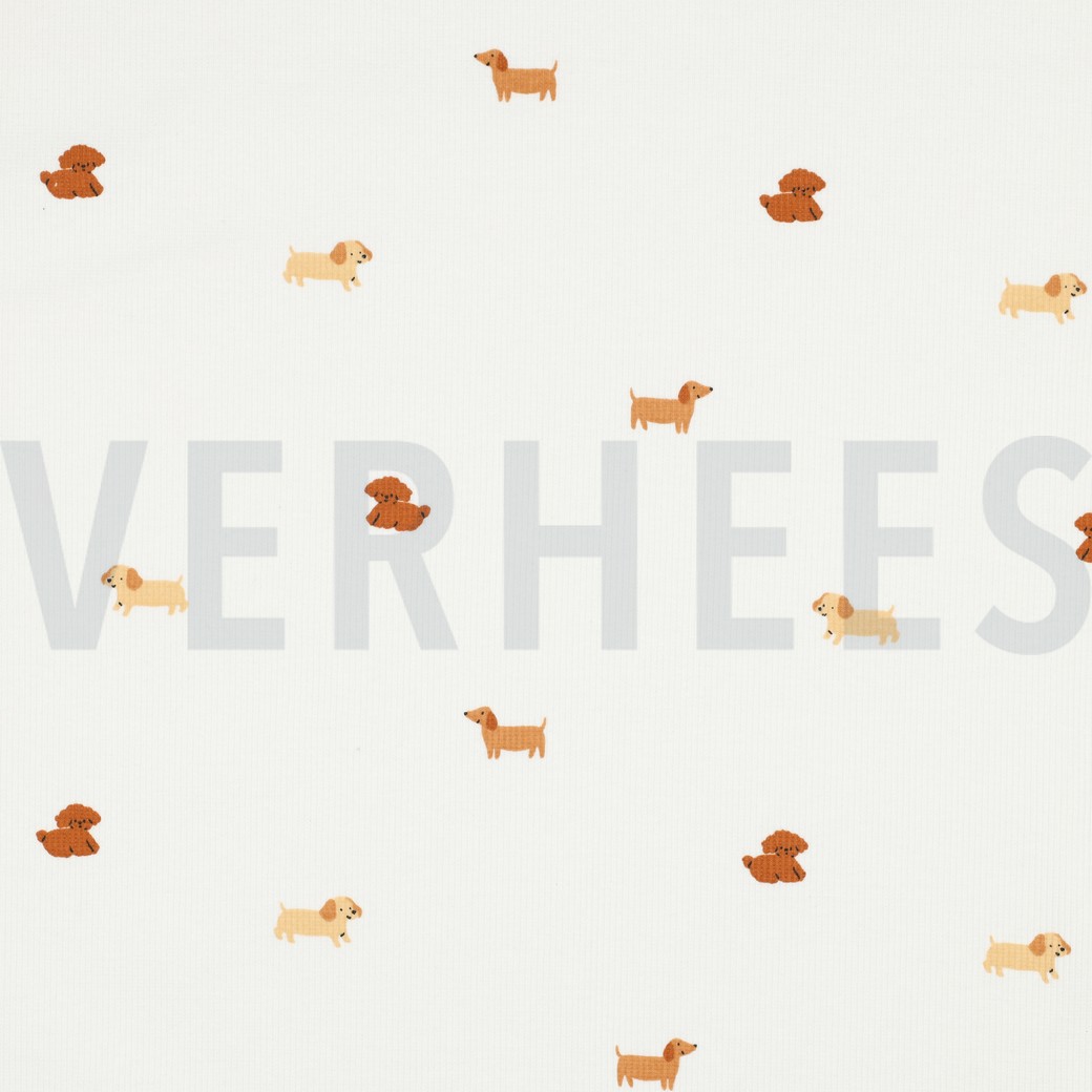 RIB JERSEY DOGS OFF WHITE