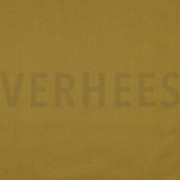 CANVAS CURRY (thumbnail)