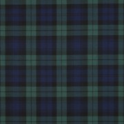 TARTAN CHECK GREEN (thumbnail)
