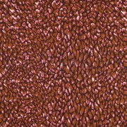 COTTON VOILE ANIMAL SKIN BURGUNDY (thumbnail)