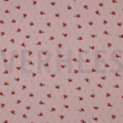 POINTOILLE BLOEMEN OUDROZE (thumbnail)