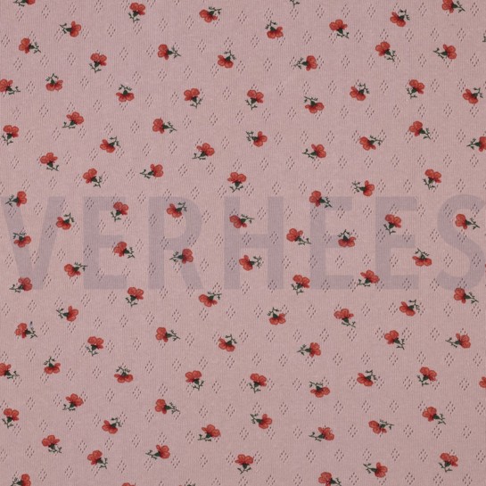 POINTOILLE BLOEMEN OUDROZE #7