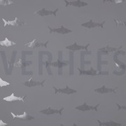 REGENJAS HAAI GRIJS (thumbnail)