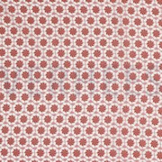 VISCOSE RADIANCE BLUSH (thumbnail)