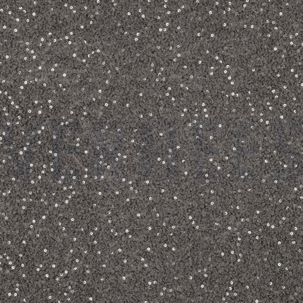 TEDDY PAILLETTES GRIS (hover)