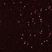 PAILLETTEN FLUWEEL BORDEAUXROOD (thumbnail)