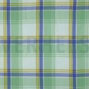 DOUBLE GAUZE YARN DYED CHECKS GREEN (thumbnail)