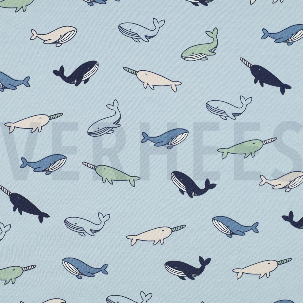 JERSEY BALEINES BLEU CLAIR
